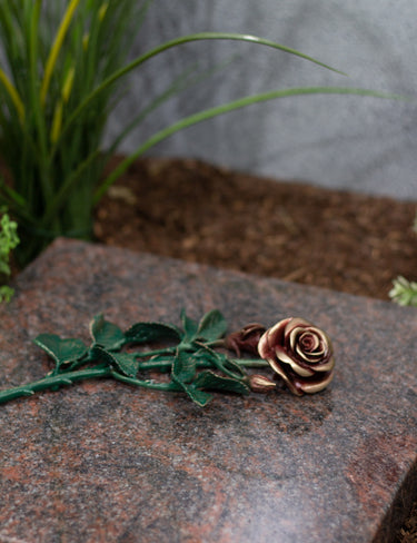 Rose Bronze groß grün mit roten Blüten